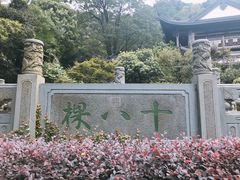 -十八棵（老龙井）御茶园(老龙井店)