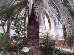 -石家庄市植物园
