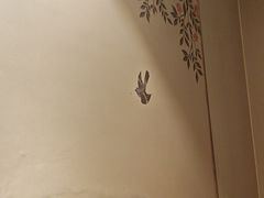 -华夏良子·足道SPA艾灸(翠微店)
