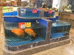 水产区-骏莱海鲜鱼港(五角场店)