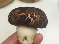 -稻香酒家·34年老字号·港式粤菜(汉街店)