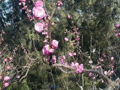 -玲珑塔公园