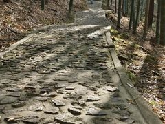 -上海佘山国家森林公园天马山园