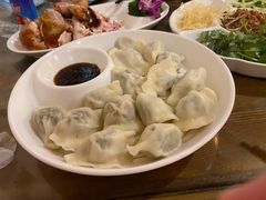 茴香肉水饺-富源东北春饼店(翠竹店)