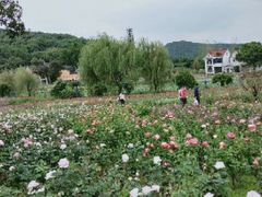 -龙寺生态园