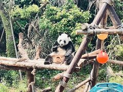 -宁波野生动物园
