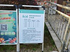 -东平国家森林公园