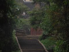 -青城山