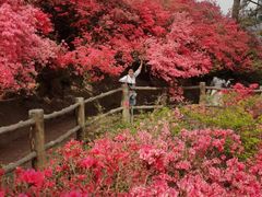-木兰云雾山