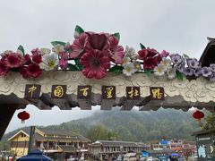 -贵州百里杜鹃风景名胜区
