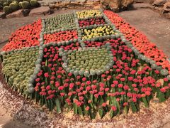 -南通洲际绿博园