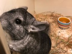 -龙猫仔乐园(惠福东路店)