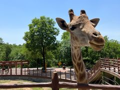 -济南野生动物世界