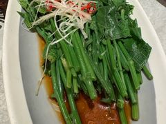 清炒豌豆尖-龙人居·水煮鱼(五道口店)