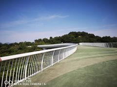 -飞凤山奥体公园