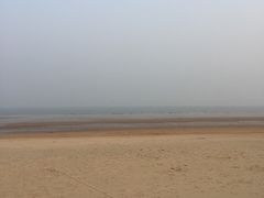 -日照海滨国家森林公园