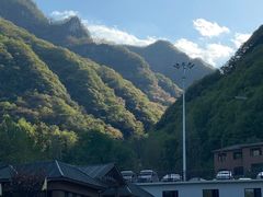 -栾川竹海野生动物园