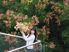 -武汉荟聚