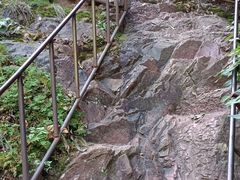 -云岫谷游猎自然风景区