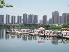 -洋湖国家湿地公园