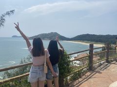 -广东惠东海龟国家级自然保护区