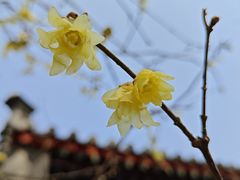 -月坛公园