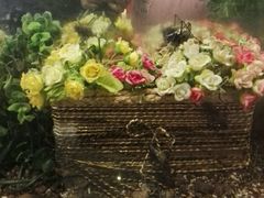 -上海昆虫博物馆