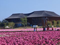 -中国天府农业博览园