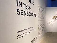 -上海当代艺术博物馆