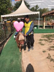 -萌宠亲子动物乐园(槐房万达店)