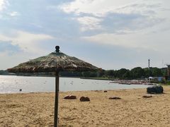-上海月湖雕塑公园