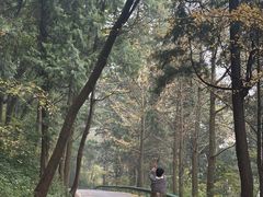 -金堂县云顶石城风景区