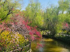-南汇桃花村