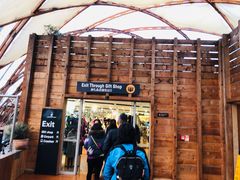 -怀托摩萤火虫洞