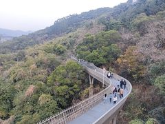 -福道