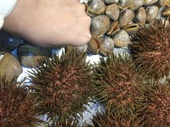 -海味当家·蒸锅海鲜(星海公园店)