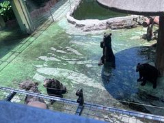 -深圳野生动物园