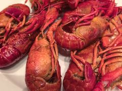 清蒸小龙虾-东方红海鲜百汇(国际大厦店)