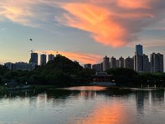 -顺峰山公园