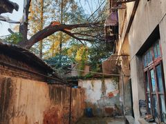 -江苏省黄埭中学