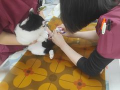 -美联众合动物医院·24h转诊中心