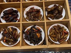 -昆虫窝子·特色云南菜(拓东路总店)