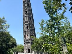 -上海佘山国家森林公园天马山园