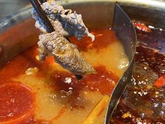 -谭三娘鲜切牛肉自助火锅(九眼桥总店)
