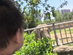 -南昌动物园