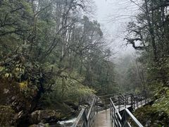 -龙苍沟森林公园