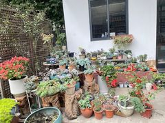 -凤来栖·净庭院·火锅(欧尚店)