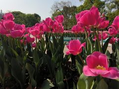 -南山植物园
