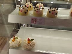 -蒲公英(五里店)