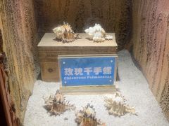 -南昌动物园